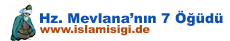 http://islamisigi.de/images/onmenuresimleri/hz-mevlane-7-ogutu.png