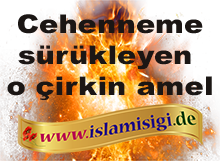 http://islamisigi.de/joomla-images/orta/cehenem66.png