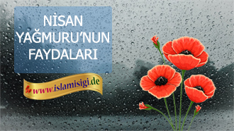 http://islamisigi.de/joomla-images/orta/nisanyagmurufaydalari.jpg