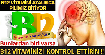 http://islamisigi.de/joomla-images/saglik/b12%20vitamini.png